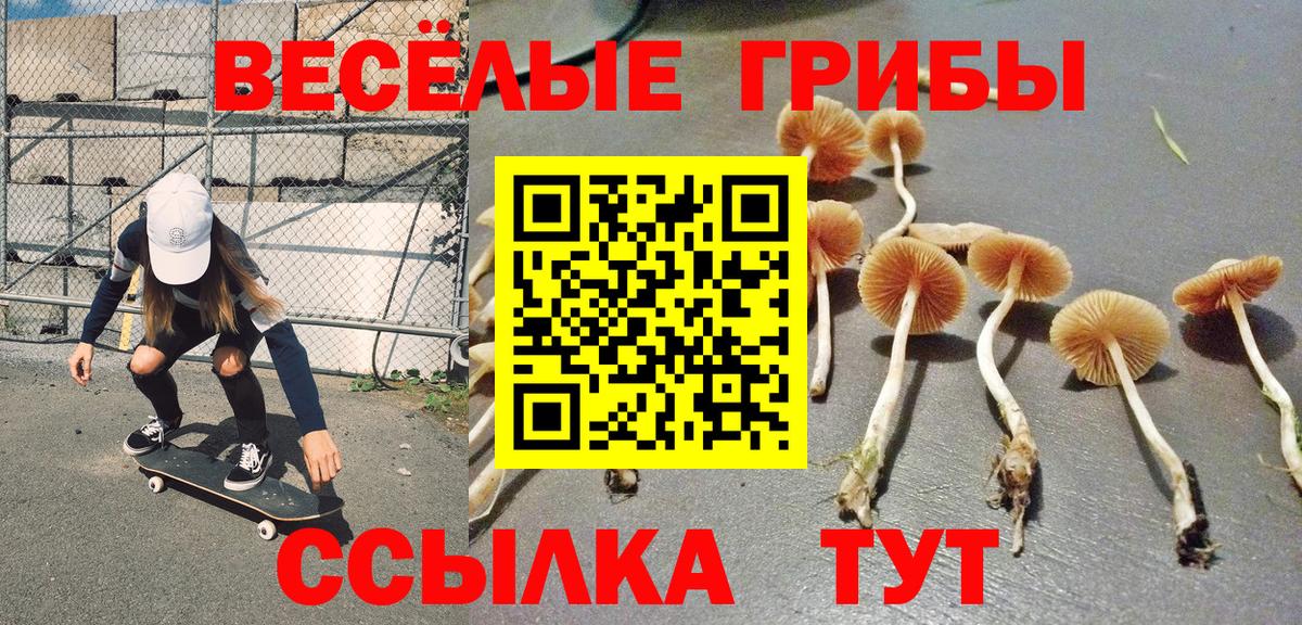 Псилоцибиновые грибы Psilocybine cubensis  Галлюциногенные грибы прущие грибы  Новоуральск  Вход с VPN 