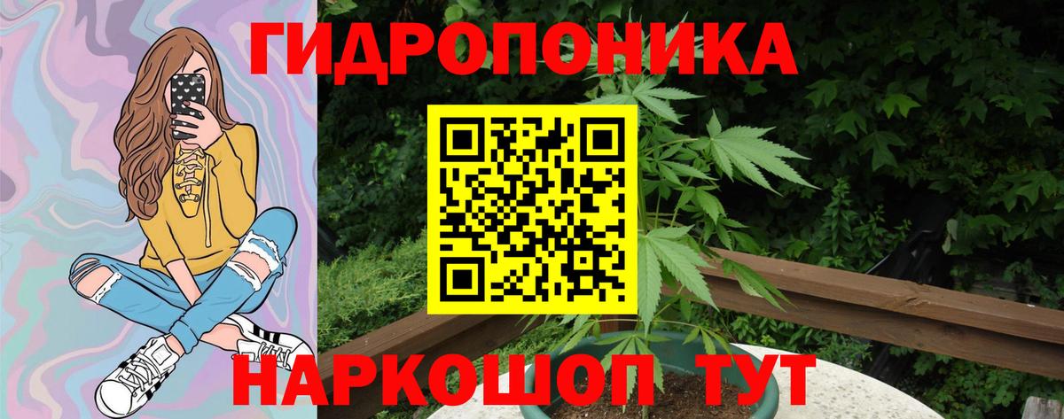 Шишки марихуана гибрид Новоуральск